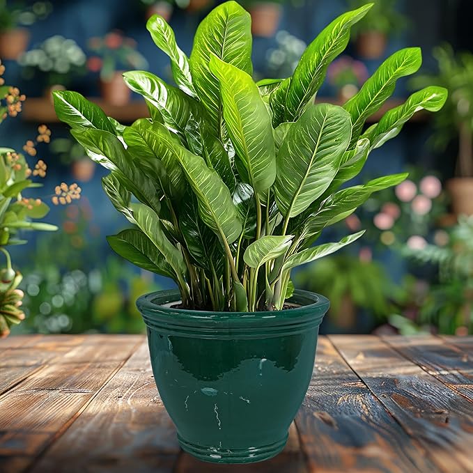 Sunnydaze Large Ceramic Plant Pot - Round Outdoor Glazed Ceramic Planter Pot with Drainage - Studio - Dark Green - 15"