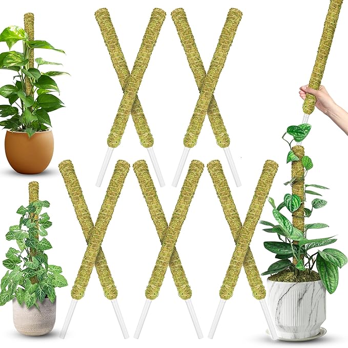 DUSPRO Natural Stackable Moss Pole for Plants Monstera Potted Plant Stakes for Indoor Plants Extendable Plant Pole Moss Sticks for Plants Climbing Vine Supporting Monstera Trellis 10Pcs 22''