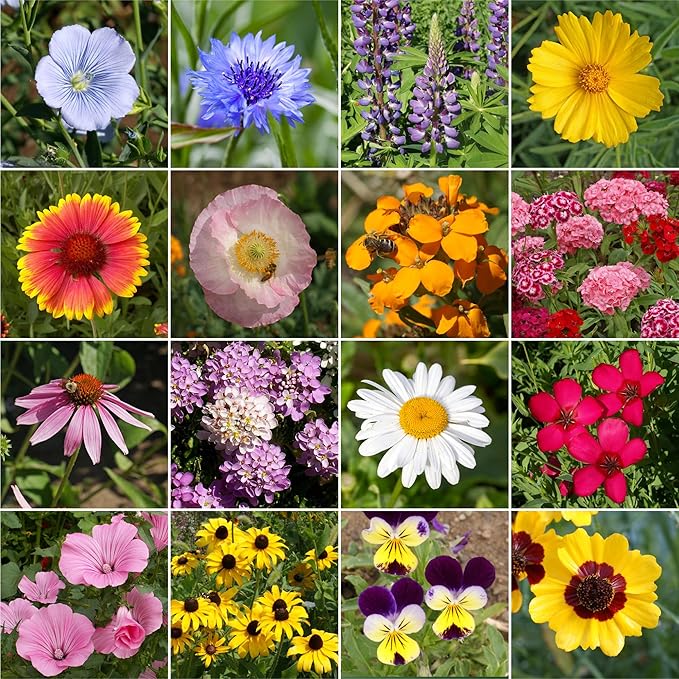 Ferry-Morse All Purpose Sun-Shade Mix Bulk Wildflower Seeds, 1lb