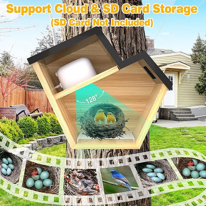 HITTITE Bird House with Camera, 2K HD Solar Powered Bird Houses for Outside with AI Identify, Auto Detect & Notify, Night Vision, Outdoor Birdhouse with Camera for Blue Bird & Other Backyard Birds