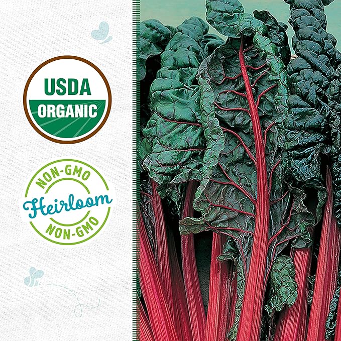 Back to The Roots 100% Organic Heirloom Seeds - Swiss Chard Value Pack (420mg Total)