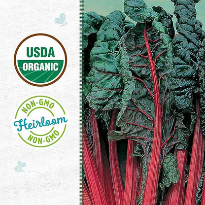 Back to The Roots 100% Organic Heirloom Seeds - Swiss Chard Value Pack (420mg Total)