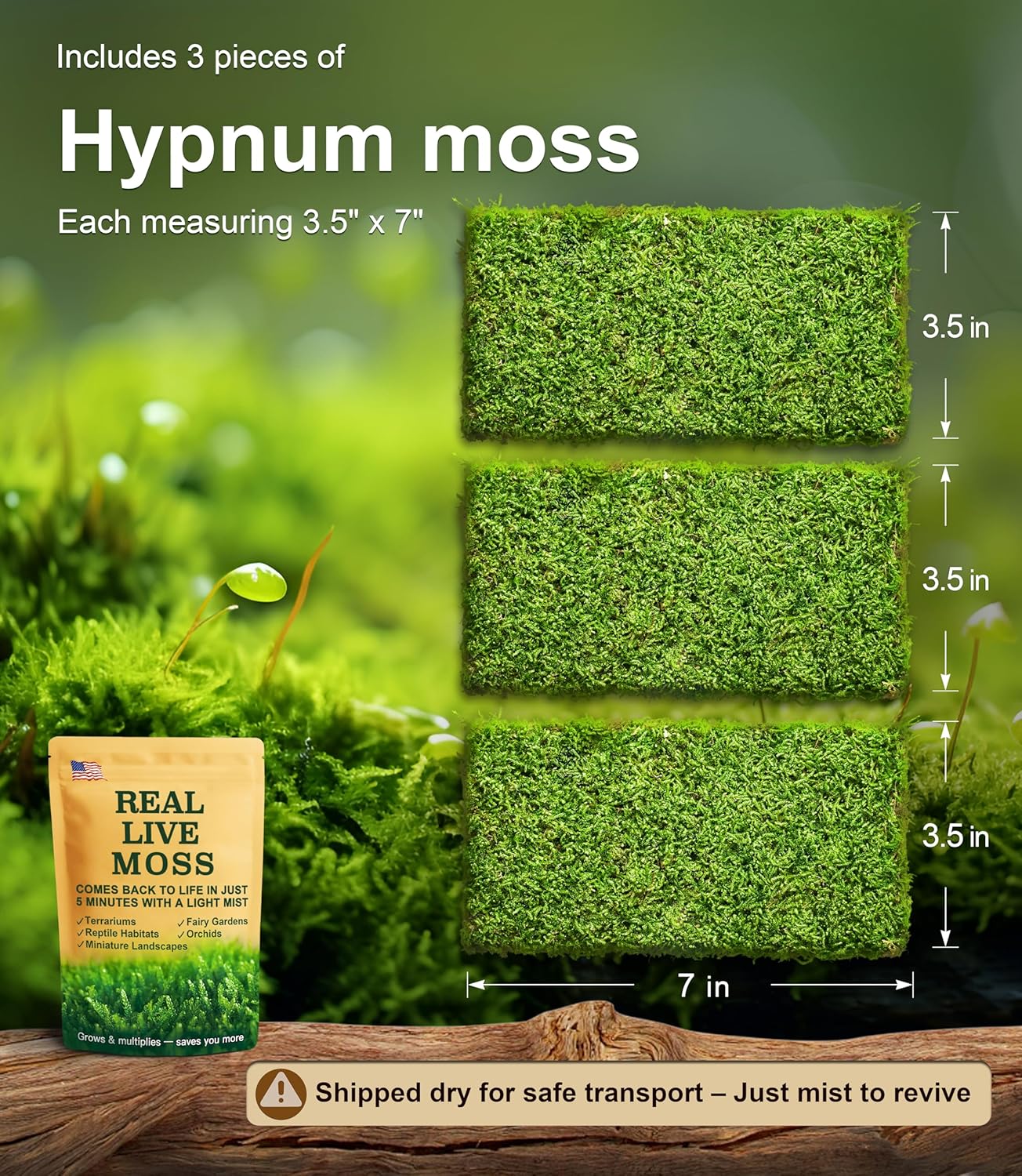 Lucky Plant Fresh Live Moss Variety Pack - Ideal for DIY Terrariums, Miniature Bonsai, Potted Plants, Reptiles, Succulents, (A Whole Piece of 8" x8" Fresh Hypnum Moss)