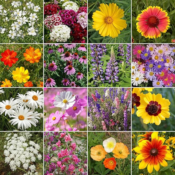 Ferry-Morse Cut Flower Mix Bulk Wildflower Seeds, 1lb