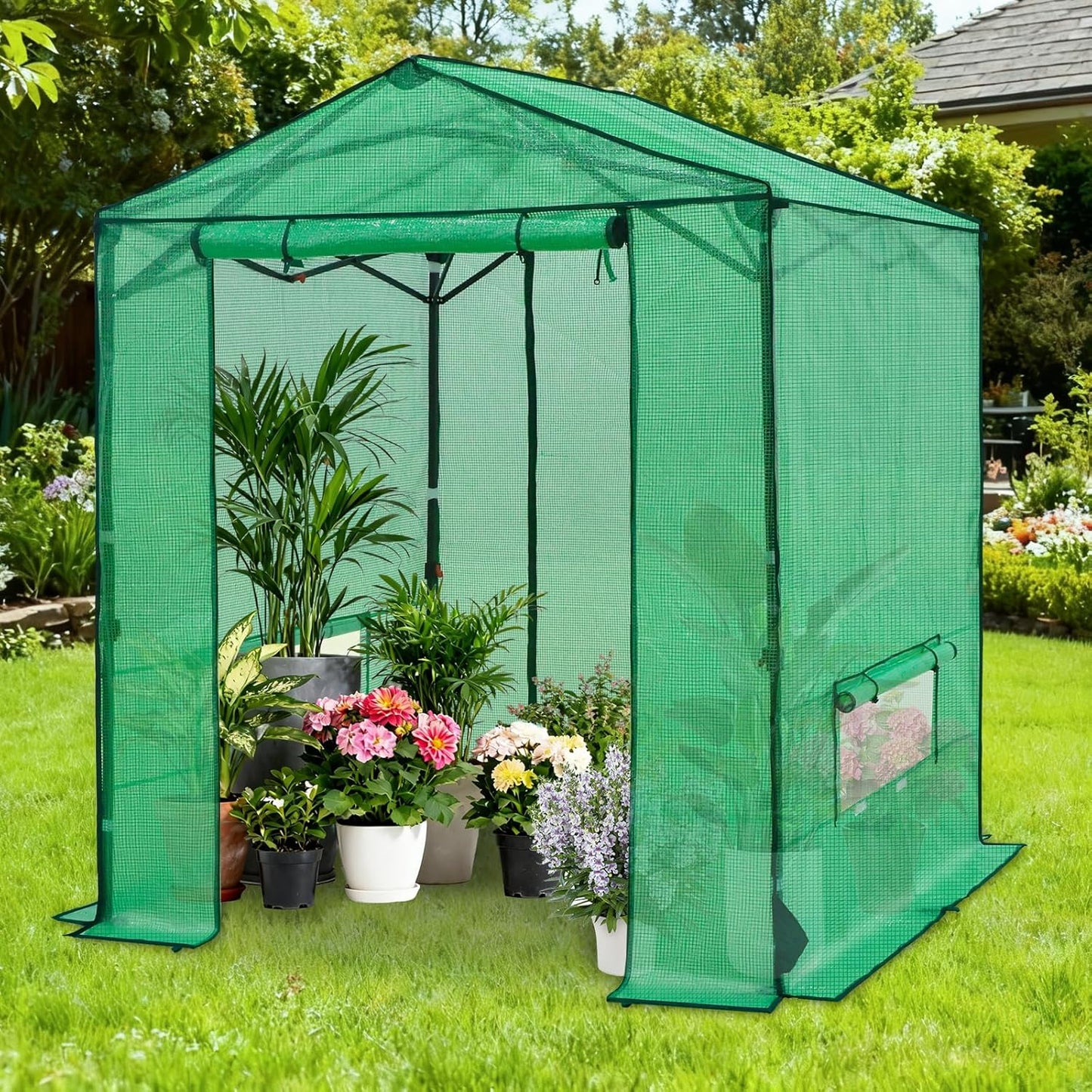 COOS BAY 6x6 FT Portable Walk-in Greenhouse, Pop up Outdoor Green House with Power Access Openings, Zippered Doors & Windows, Durable PE Cover, Green
