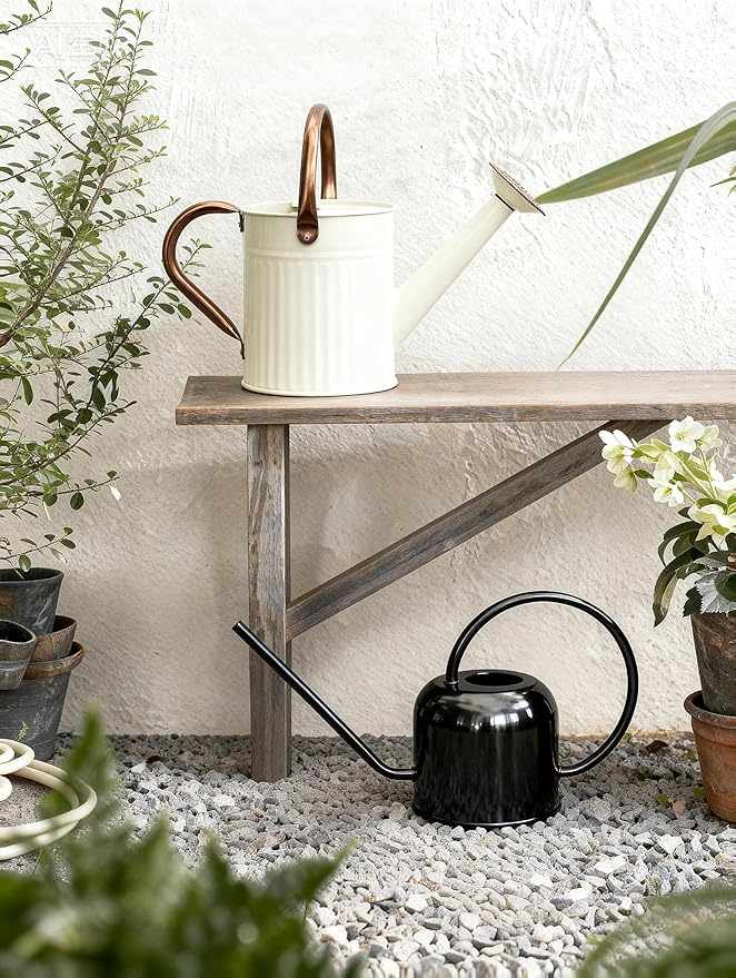 Bamworld Watering Can for Indoor Outdoor Plant Metal Watering Can with Removable Spout Embossd Design Plant Watering Devices Stainless Steel 1/2 Gallon Watering Cans Perfect Home & Garden Décor Creamy