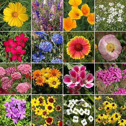 Ferry-Morse Knee-High Mix Bulk Wildflower Seeds, 1lb