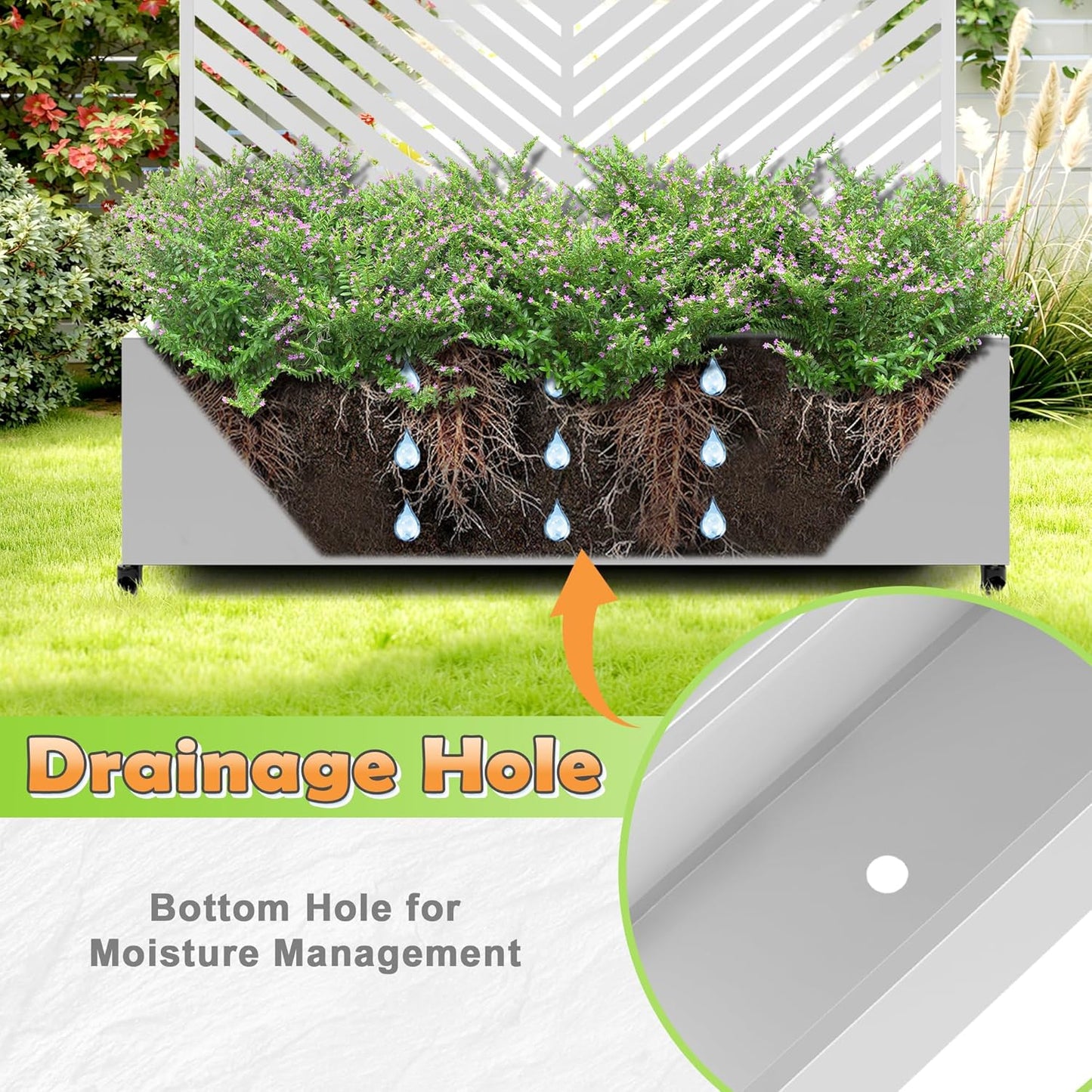 Metal Raised Garden Bed with Trellis, 2-in-1 Planter Box & Privacy Screen for Climbing Plants, Outdoor Standing Flower Bed with Drainage Holes, 47.2" L x 16.7" W x 70.8" H, White-Parallel