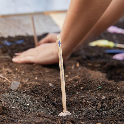 Modern Sprout Seed Pops - Organic Non-GMO Carrot, Strawberry & Basil Seeds for Planting - Fun Family Activity - Ideal for Indoor & Outdoor - Playful Gift for Kids, Adults and Plant Lovers (Pack of 12)
