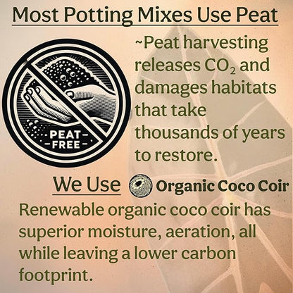 Craft Aroid Potting Mix- Elite Alocasia, Philodendron, Monstera Soil Mix, Chunky, Well Draining Potting Soil for Indoor Plants, All Tropical Plants & Houseplants, Synthetic & Peat Free 4QT