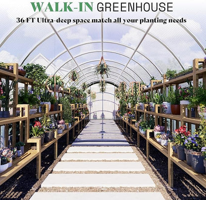 AMERLIFE 36x10x7 FT Large Walk-in Tunnel Greenhouses for Outdoors with Watering System 2 Zipper Doors, Heavy Duty Greenhouse Upgraded Galvanized Steel Frame 12 Windows, Green/White