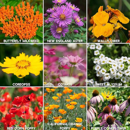 Wildflower Seeds Bulk, 2 Oz. 80,000+ Seeds – Save The Bees Mix with 19 Non-GMO Varieties – Bee Friendly & Pollinator Wildflower Seed for Planting