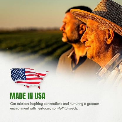 15 Lettuce & Salad Greens Seeds Variety Pack Lettuce Garden Salad Kit with Plant Labels 7300+ Non-GMO Heirloom Arugula Spinach Kale Iceberg Lettuce Seeds for Planting Outdoors Indoors