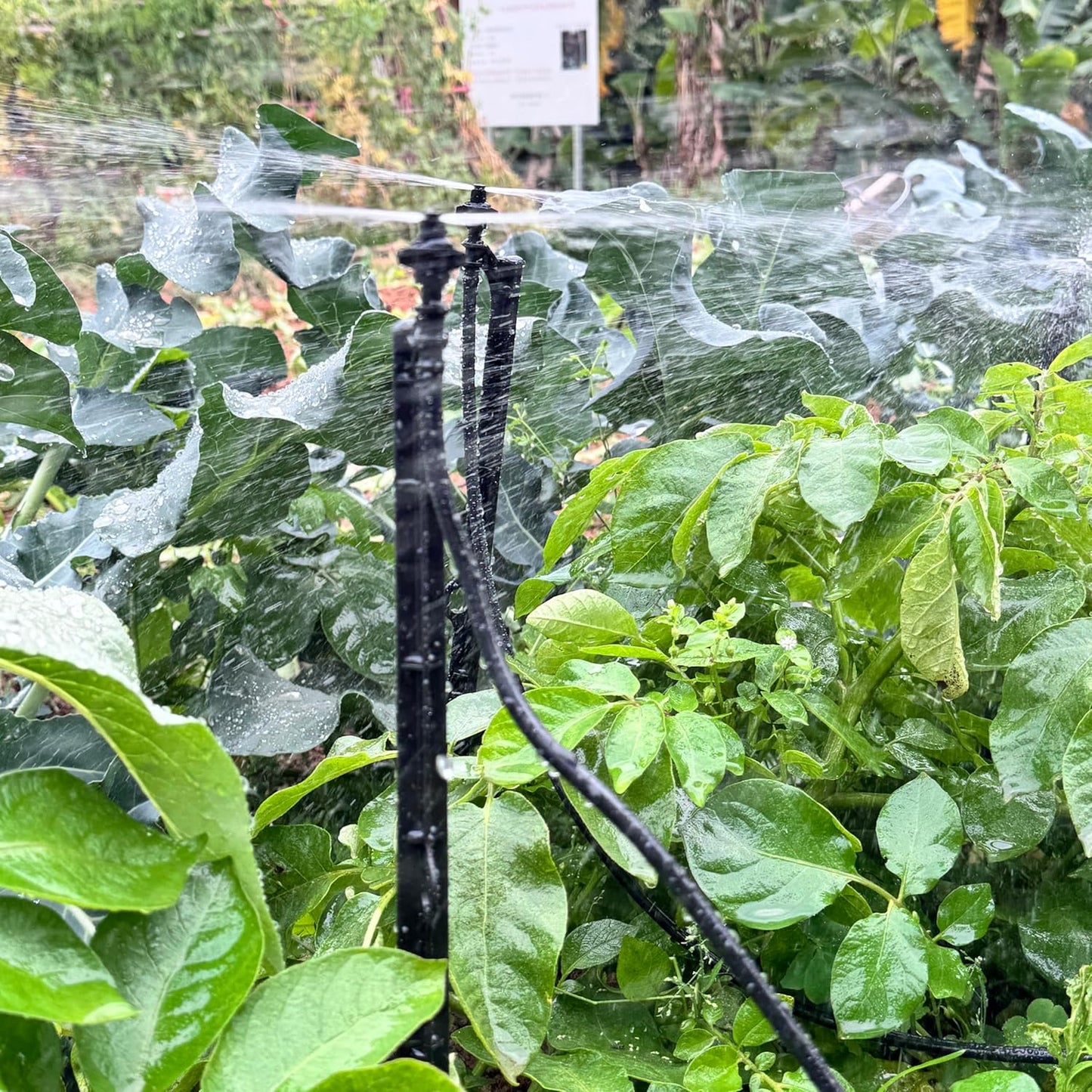 Drip Irrigation Micro Spray Heads: 12 Count Rectangle Pattern Water Emitting Fittings for Home Garden Flower Bed Plant Lawn Auto Watering System