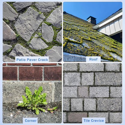 Moss Grout Remover Brush Tool with Detachable 64.9Inch Handle for Outdoor Concrete Deck Pavers Patios Walkways Crevice Cleaning, 2 Pcs Metal Wire Brush Heads with Crack Scraper Weeder Puller