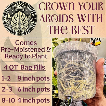 Craft Aroid Potting Mix- Elite Alocasia, Philodendron, Monstera Soil Mix, Chunky, Well Draining Potting Soil for Indoor Plants, All Tropical Plants & Houseplants, Synthetic & Peat Free 4QT