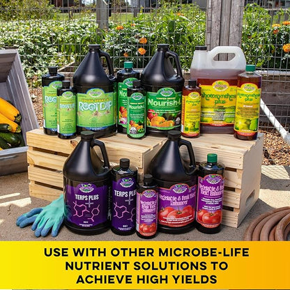 Microbe Life Hydroponics Premium Photosynthesis Plus to Grow Fruits, Vegetables, and Herbs, The Best Professional Big Bud Grow, Use with Any Feeding Systems Including Hydroponics or Soil, 2.5 Gallons