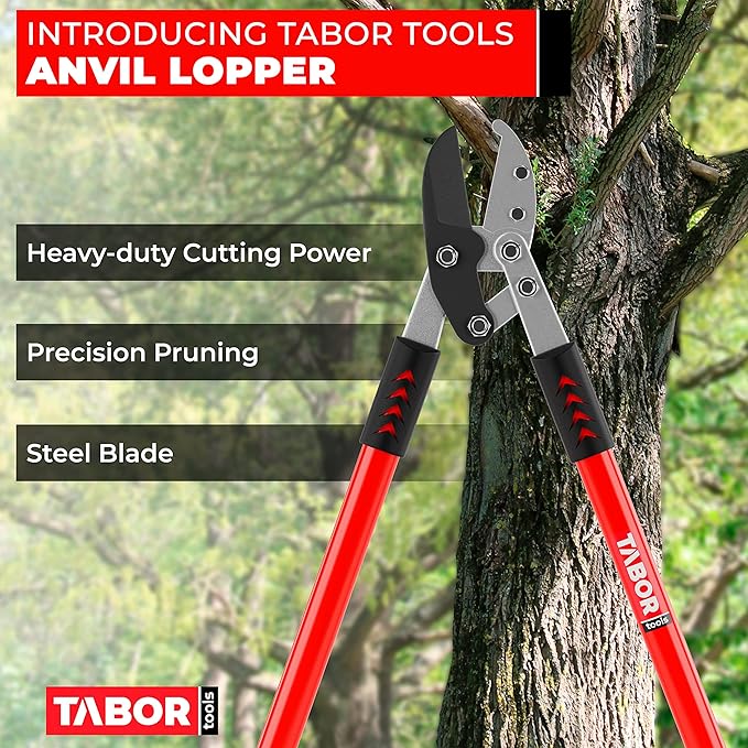 TABOR TOOLS GG12A Anvil Lopper with Compound Action, 30 Inch Tree Trimmer, Thick Branch Cutter with ⌀ 2 Inch Cutting Capacity, Chops Thick Branches with Ease.