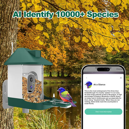 Bird Feeder with Camera,Smart Birdwatching Camera with Solar Powered,AI Identify Species,Instant Notifications,FHD Live View,Auto Record Video in Backyard,Ideal Gifts for Family and Bird Lovers