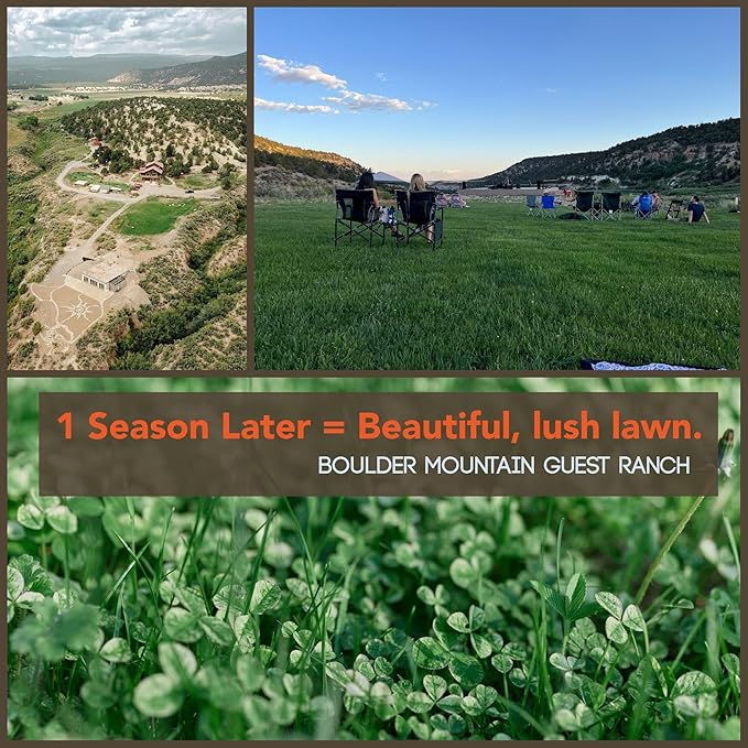 Micro Clover Seed for Lawn - 25 Lb Bulk - ~10 Million Microclover Seeds for Planting - Drought-Tolerant Mini Grass Alternative by Mountain Valley Seed Company