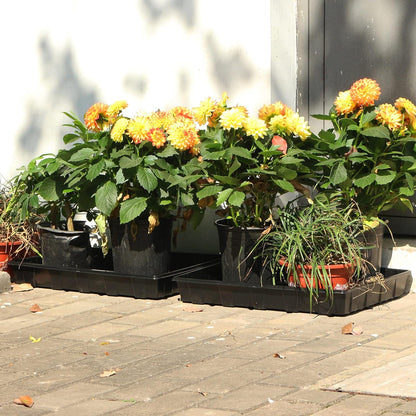 Gardzen 10 Pack Seed Trays, Reusable Plant Grow Trays, Ideal for Seed Starting, Microgreens, Indoor Gardening, and Greenhouse Plant Nurseries - No Drain Holes, 17.3" x 13"