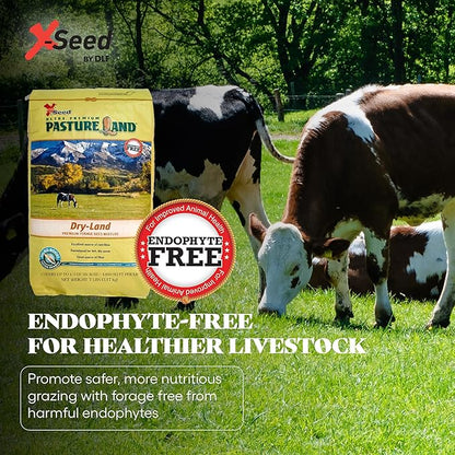 X-Seed Pasture Land Dry-Land Forage Seed Mixture with Micro-Boost – Tall Fescue Orchard Grass Ryegrass Endophyte Free Pasture for Safe Nutrition of Livestock, Formulated for Dry Areas – 7-Pound Bag