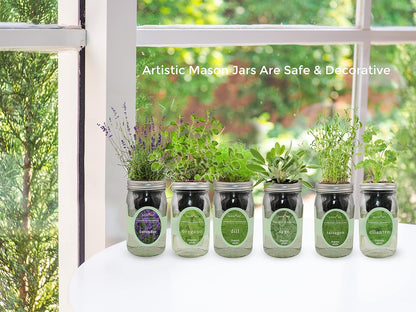 Hydroponic Herb Growing Kit Set, Self-Watering Mason Jar Herb Garden Starter Kit Indoor, Windowsill Herbs Garden. Grow Your Own Herbs from Organic Seeds (Mint, Sage, Oregano)