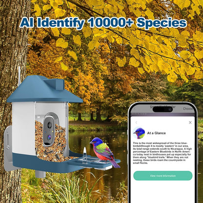 Bird Feeder with Camera,Smart Birdwatching Camera with Solar Powered,AI Identify Species,Instant Notifications,FHD Live View,Auto Record Video in Backyard,Ideal Gifts for Family and Bird Lovers
