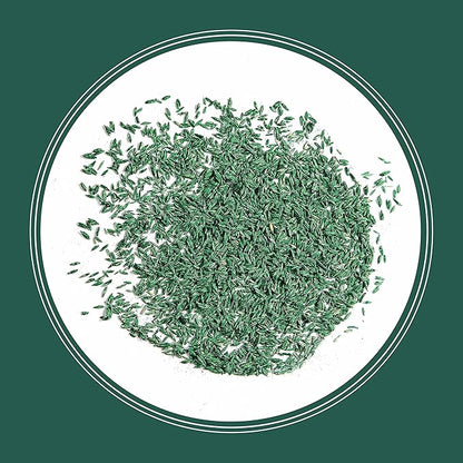 Pennington Smart Seed Sun and Shade Tall Fescue Grass Seed Mix for Southern Lawns 3 lb