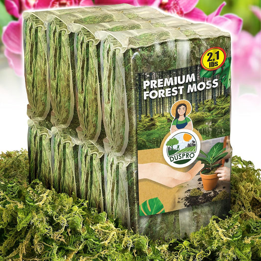 DUSPRO Dried Moss for Potted Plants, Forest Orchid Moss for Potting Mix, Sphagnum Potting Moss for Plants Indoor, Real Moss Soil Cover for Houseplant (2.1 LBS)