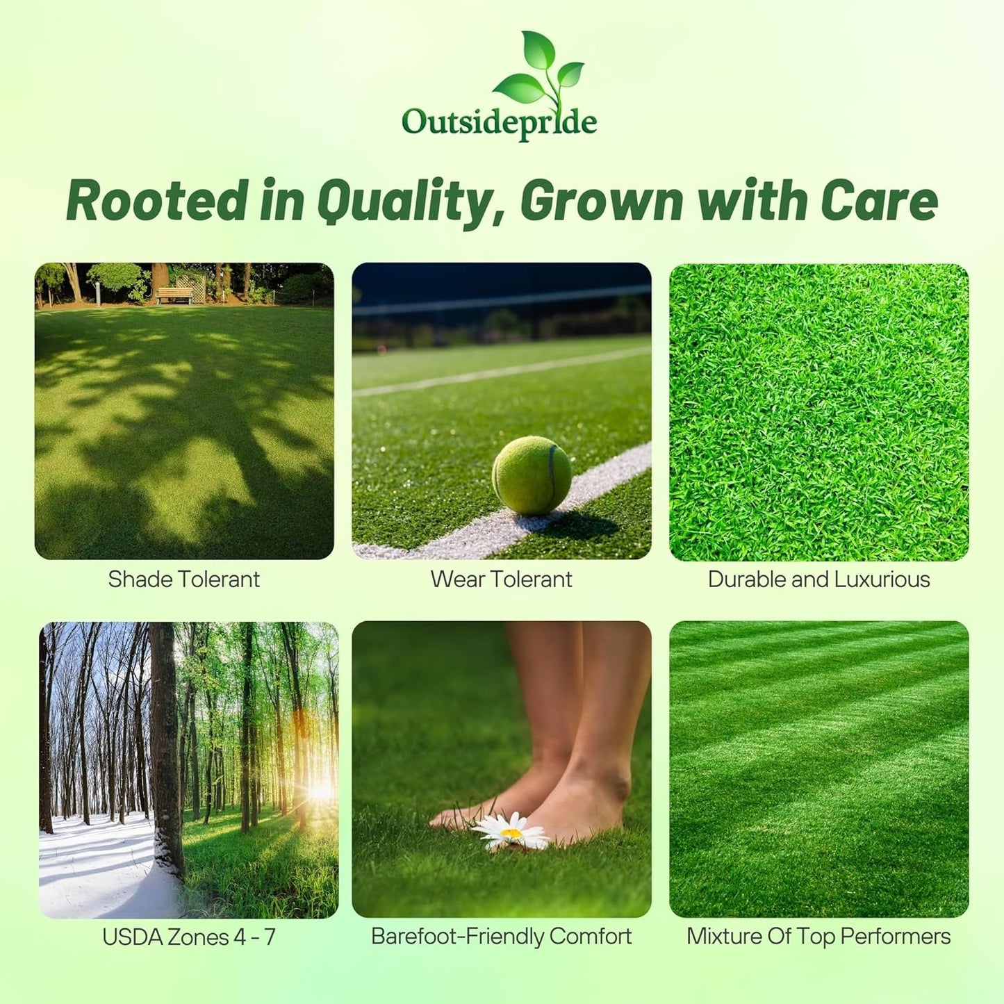 Outsidepride Showtime Perennial Lawn Grass Seed Mix - 50 lbs. Premium Blend of Creeping Red Fescue, Rye Grass & Kentucky Bluegrass Seed for Sports Fields, OptiGrowth Coated for Better Establishment