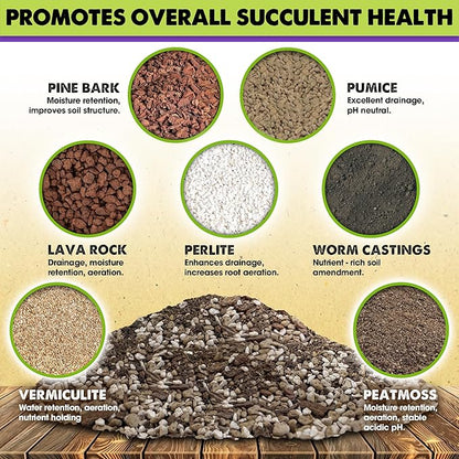 DUSPRO Succulents Soil Potting Mix – 7 in 1 Ingredients Well-Draining, Nutrient-Rich Cactus Potting Soil for Succulents and Cacti, Indoor & Outdoor Use, Ready to Use, Supports Healthy Root Growth, 4QT