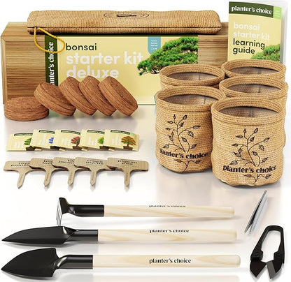 Planter's Choice Bonsai Tree Starter Kit - Unique Gifts for Women, Men - Christmas Gifts for Adults - Indoor Live House Plants - DIY Crafts for Adults Craft Kits - Hobby Gift for Gardening Lovers