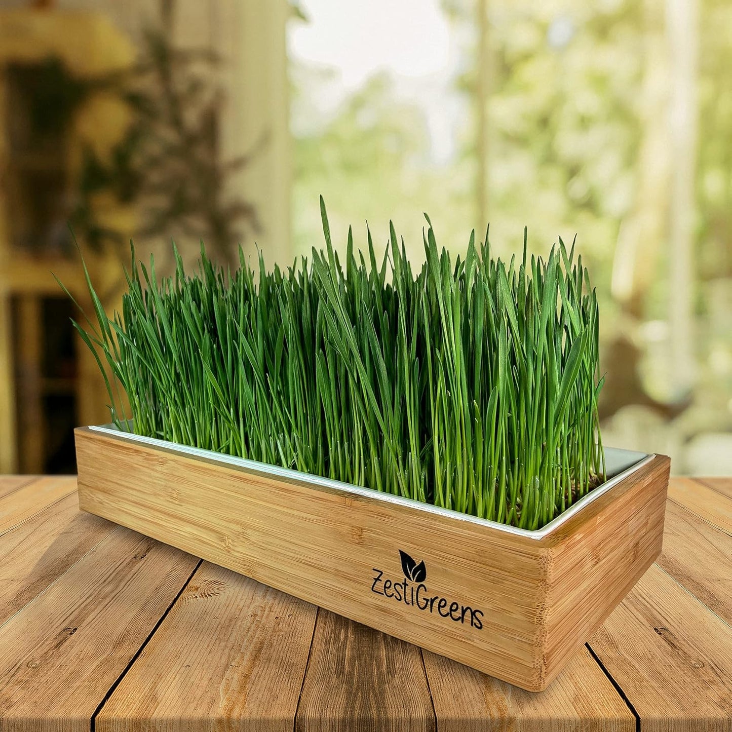 Organic Wheatgrass Self Watering Kit Refill Mats & Seeds for 5 Crops. (Refill Kits)