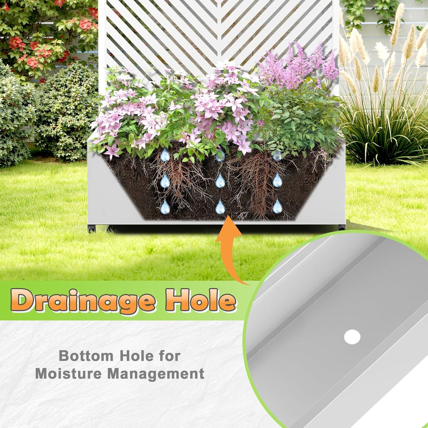 Metal Raised Garden Bed with Trellis, 2-in-1 Planter Box & Privacy Screen for Climbing Plants, Outdoor Standing Flower Bed with Drainage Holes, 35.4" L x 15.7" W x 70.1" H, White-Parallel