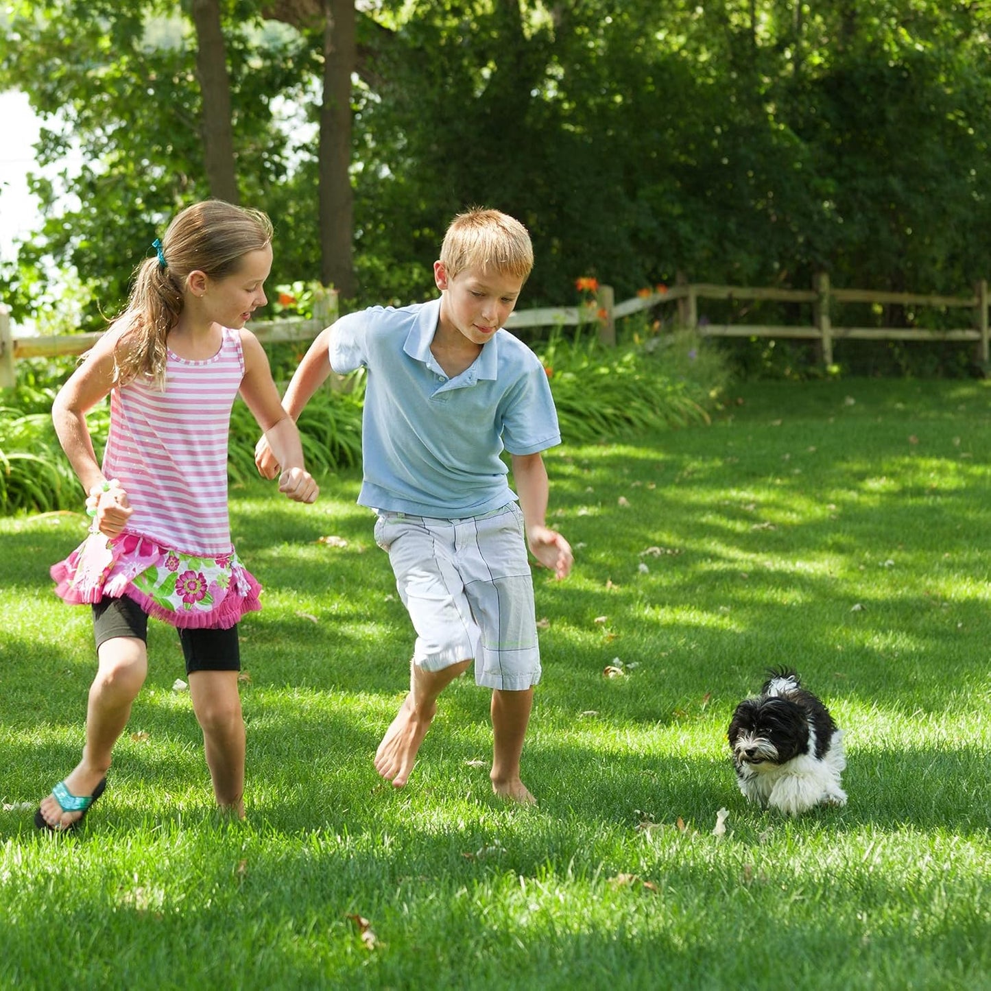 Purely Organic Products Lawn Food 10-0-2, 25 LB Bag (Covers 5,000 Square Feet)