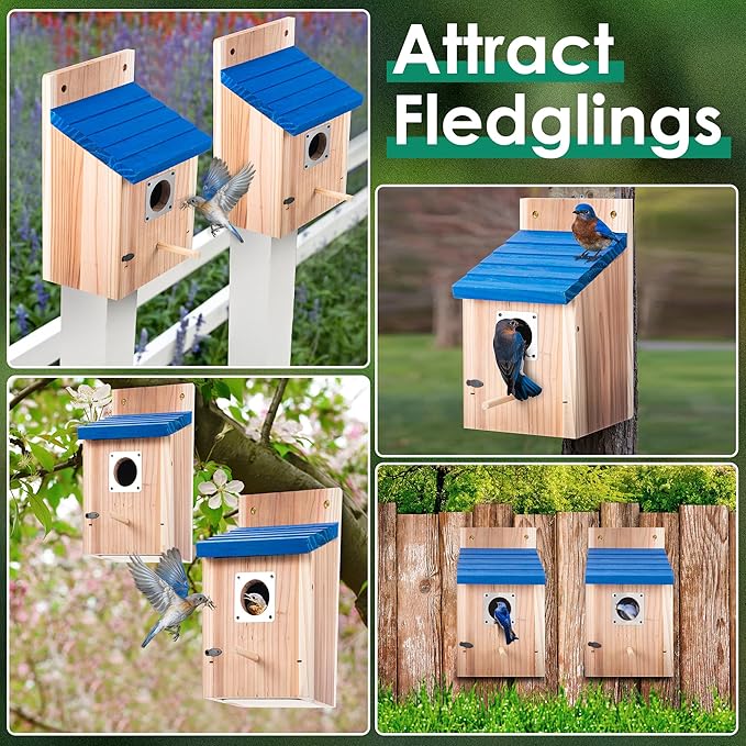 Dreyoo 3 Pack Cedar Bluebird Box Houses for Outside, 1-1/2'' Entrance Hole Wooden Bird Houses with Metal Guard, Secure Latch, Fledgling Grooves, Air Vents for Bluebird Wren Swallow