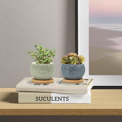 3 inch Ceramic pots for Plants, Small Succulent Pots Set with Drainage, 6 Pack Flower Pot for Indoor Plant, Planters for Little or mini Cactus 2 inches Plants (Green/Black)