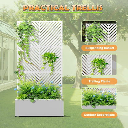 Metal Raised Garden Bed with Trellis, 2-in-1 Planter Box & Privacy Screen for Climbing Plants, Outdoor Standing Flower Bed with Drainage Holes, 35.4" L x 15.7" W x 70.1" H, White-Parallel