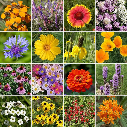 Ferry-Morse Pollinator and Butterfly Mix Bulk Wildflower Seeds, 1lb