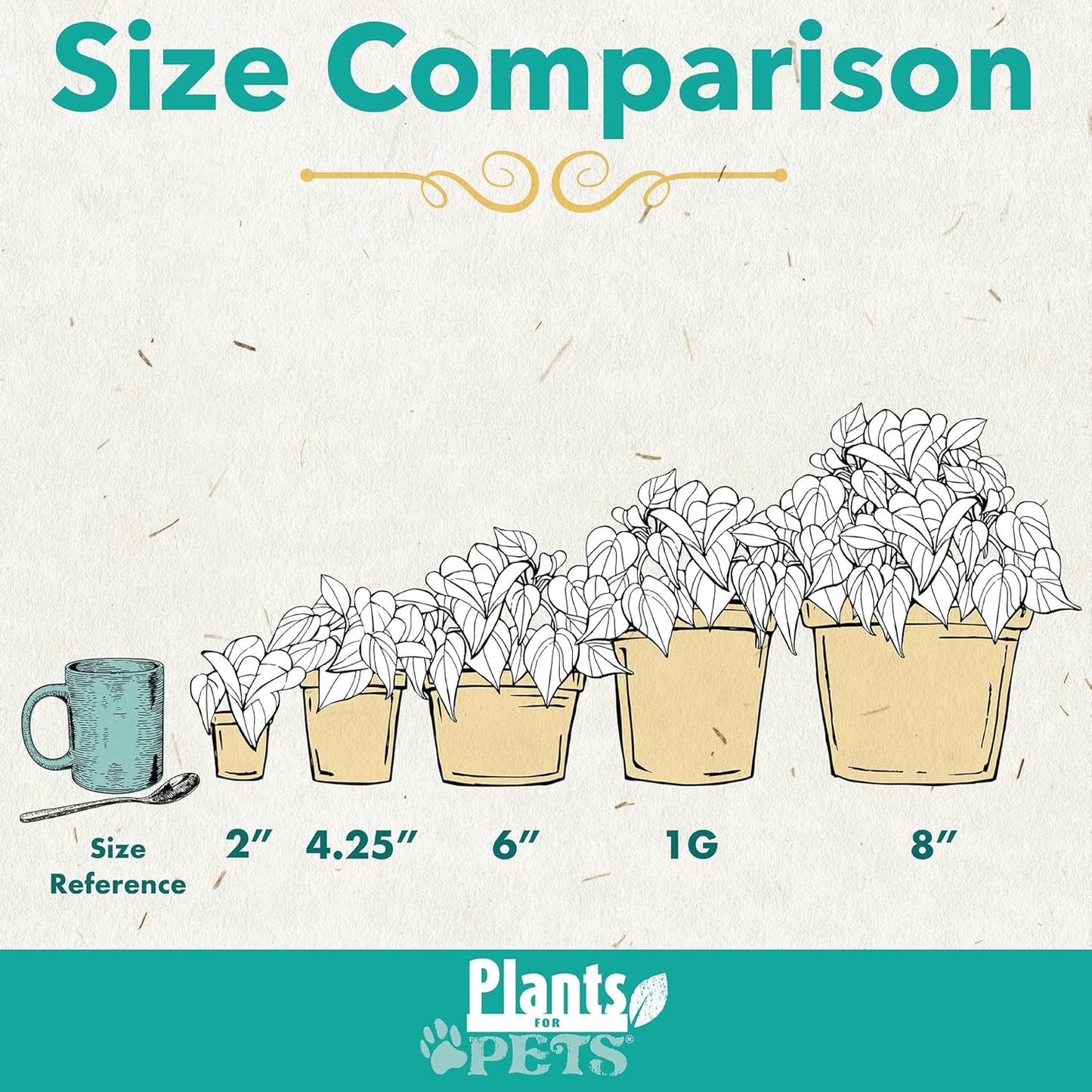 Essential Houseplant Collection (3PK) Live Plants Indoor Plants Live Houseplants in Plant Pots, Easy House Plants Indoors Live, Snake Plant, Pothos in Potting Soil, Clean Air Plants by Plants for Pets