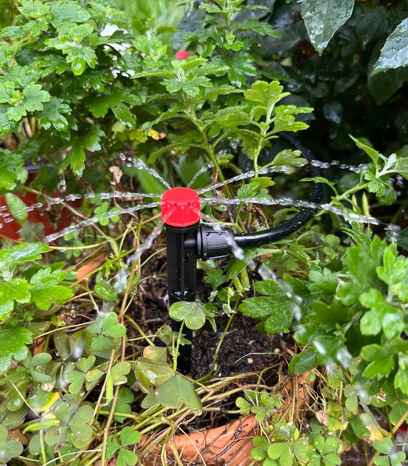 50pcs Drip Irrigation Emitters with Stake, Adjustable 360 Degree Water Flow Lock Barbed Dripper for 1/4" Drip Irrigation Tubing，Garden Irrigation Sprayer for (4-7mm) Watering System