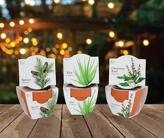 BUZZY Seeds Terracotta Mini Grow Pots | Herb, Plant, Flower Starter Kit for Kids & Adults | Assorted 6-Pack, Radiant Collection | Guaranteed to Grow | Best Indoor Grow Your Own Plant Gardening Gift