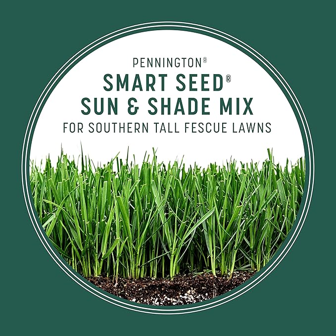 Pennington Smart Seed Sun and Shade Tall Fescue Grass Seed Mix for Southern Lawns 3 lb