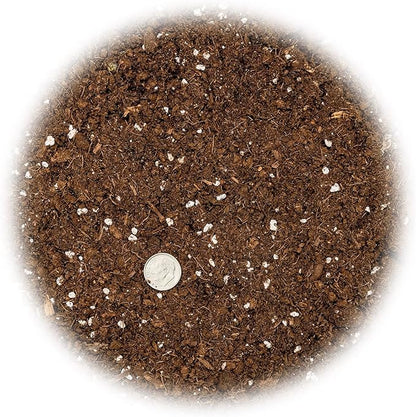 GARDENERA Money Tree Potting Soil Mix for Planting or Repotting Guiana Chestnut, Soil Blended to Properly Grow Money Tree Plants (4 Quart Bag)