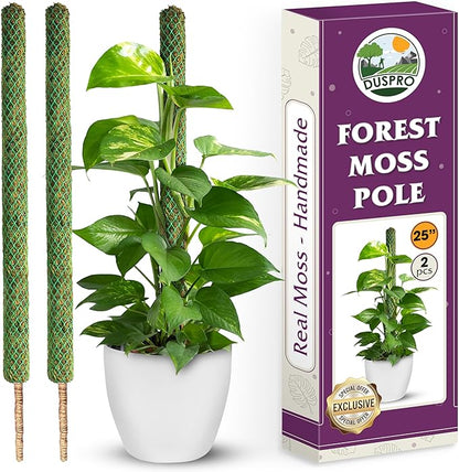 DUSPRO 2 Pack 25’’ Mesh Moss Pole for Climbing Plants, Natural Moss Pole Monstera Plant Support, Real Moss Poles for Plants Indoor, Moss Stick for House Plants, Moss Stakes for Climbing Plants