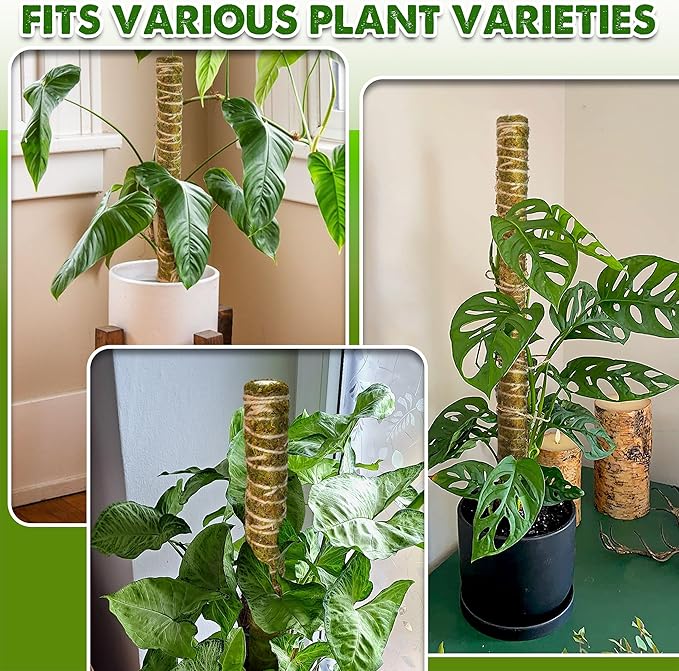 DUSPRO Natural Stackable Moss Pole for Plants Monstera Potted Plant Stakes for Indoor Plants Extendable Plant Pole Moss Sticks for Plants Climbing Vine Supporting Monstera Trellis 10Pcs 22''