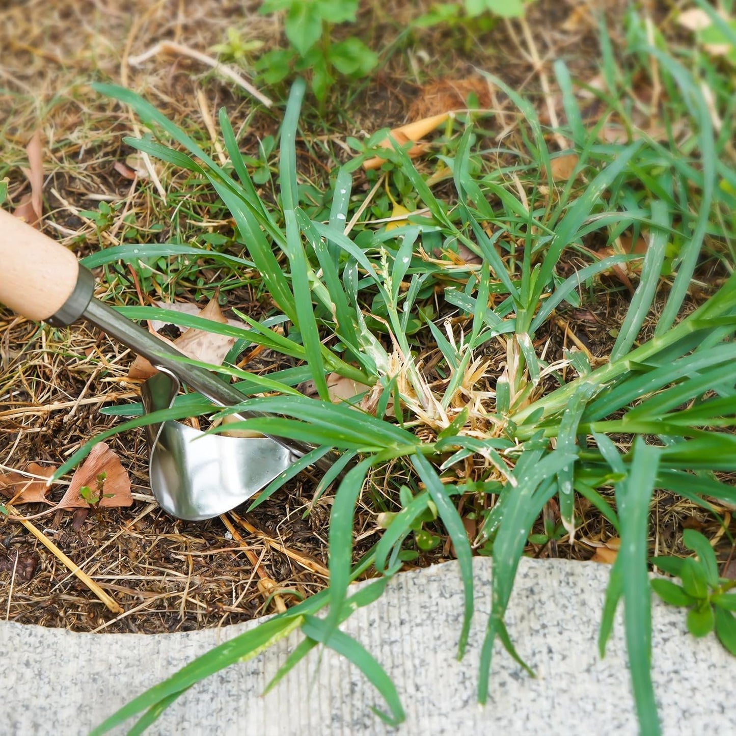 3 Pack Weed Puller Tool, Stainless Steel Crack Weeder Tool, Uprooting Weeding Tool, Paving Brick Moss Removal, L-Shape Gardening Crack Sickle Lawn Edger and Driveway Weeding Tools Gardening