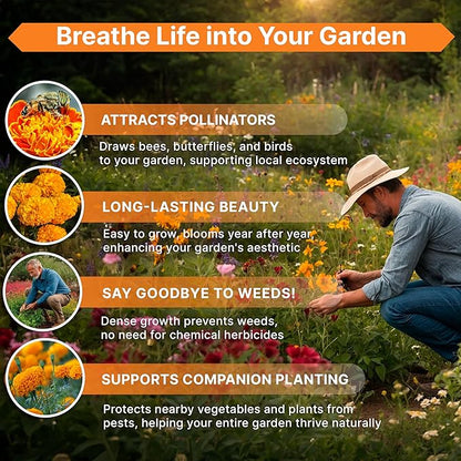 Marigold Seeds Pack 1 oz - Over 9,250 Non-GMO Heirloom Marigold Seeds for Planting Indoor & Outdoor Gardening, Flower Seed for Planting Home and Garden, Flowers Seed in Individual Packet