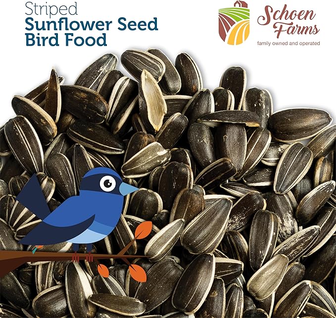 Schoen Farms Striped Sunflower Seeds – Hulled Wild Bird Food – 6 lb Bag – Premium Bird Seed for Cardinals, Jays & Finches